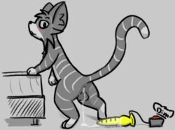 anus backsack balls bed blush bodily_fluids cum cum_drip cum_in_ass cum_inside dildo dimetil dipstick_tail domestic_cat dripping ejaculating_dildo felid feline felis feral fur furniture genital_fluids genitals gloves_(marking) grey_body grey_fur knot knotted_dildo leaking_cum leg_markings male mammal markings multicolored_body multicolored_fur raised_tail sex_toy shaded signature simple_background simple_shading smile socks_(marking) solo striped_body striped_fur stripes tail tail_markings two_tone_body two_tone_fur white_body white_fur yellow_dildo