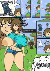 stella (femsteve) from minecraft