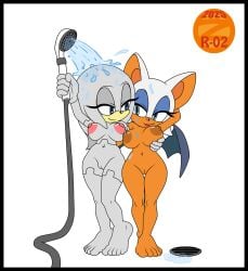 rouge the bat from sega by zeta r-02