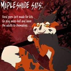 black_body black_fur calico_cat cheek_tuft curly_hair dipstick_tail domestic_cat facial_tuft felid feline felis female feral fluffy fluffy_tail forest fur glowing glowing_eyes hair heart_(marking) hi_res looking_at_viewer looking_back looking_back_at_viewer mammal mapleshade_(warriors) markings multicolored_body multicolored_fur open_mouth plant quote red_background red_body red_fur simple_background smile smiling_at_viewer solo solo_focus spiky_fur spots spotted_body spotted_fur tail tail_markings text tree tuft warriors_(book_series) white_body white_fur white_tail_tip whitefroggim yellow_eyes