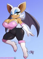rouge the bat from sonic (series) by frostbiteboi