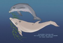 ambiguous_gender call_(vagabond) cetacean dolphin duo english_text female feral gradient_background mammal mammary_slits marine seaweed simple_background text toothed_whale vagabond_(artist)