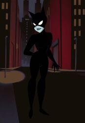 catwoman catwoman_(arkham) catwoman_(dcau) dcau suit