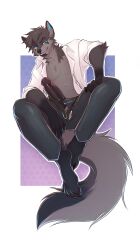 anthro balls canid canine canis clothed clothing fur genitals grey_body hi_res kohl_grey male mammal nude penis simple_background smile solo sunnyowi tail wolf