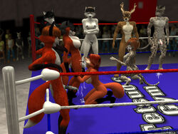 3d anthro audience black_penis boxing breasts canine cervine character_request cum deer feline fellatio female fox fur furry herm intersex laine leopard male merric oral oral_sex penis red_fox ring sex tetsuo