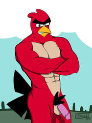 1boy 2011 angry_birds avian balls bird looking_at_viewer male male_only nude penis red_(angry_birds) rovio sega solo