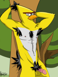 1boy angry_birds avian balls bird chuck_(angry_birds) looking_at_viewer male male_only nude penis solo yellow