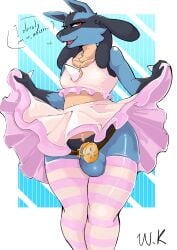 anthro anthro_only balls canid canine canis chastity_cage chastity_device clothed clothing domestic_dog femboy generation_4_pokemon genitals hi_res lucario male male_only mammal nintendo pokemon pokemon_(species) red_eyes simple_background solo standing text workakeius