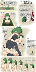 aruva bathroom blush breasts bust_chart flower green_hair highres huge_breasts monster_girl nipples nude plant_girl red_eyes sex small_breasts smile translation_request