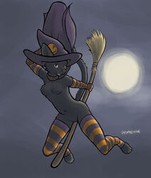 2011 anthro black_fur breasts broom clitoris collar color feline female female_only flying front_view fur furry furry_breasts furry_tail halloween hand_behind_head hat magic_user moon night nude outdoors pussy sky solo stockings tail unimpressive witch witch_hat