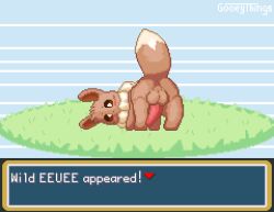 animal_genitalia animal_penis animated anus backsack balls blush bouncing_balls brown_body brown_fur digital_media_(artwork) eevee feral fur generation_1_pokemon genitals gooeythings looking_at_viewer male mane nintendo penis pixel_(artwork) pixel_animation pokemon pokemon_(species) signature solo tail text_box white_mane