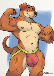 2024 aaron_pictus anthro biceps blue_eyes brown_body brown_fur bulge canid canine canis clothed clothing domestic_dog flexing flexing_bicep flexing_both_biceps fur hi_res jockstrap jockstrap_only looking_at_viewer male mammal muscular navel nipple_piercing nipples pecs piercing simple_background smile solo spots topless underwear underwear_only