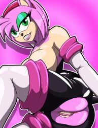 amy_rose amy_the_bat bodysuit breasts_out crotchless presenting_hindquarters rouge_the_bat_(cosplay) seductive_look sonic_(series) spandex_suit