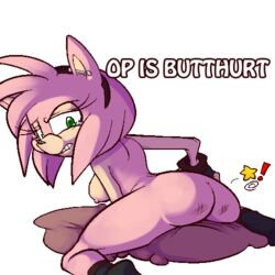 amy_rose female hedgehog mel_the_hybrid sega sonic_(series) sonic_the_hedgehog_(series)