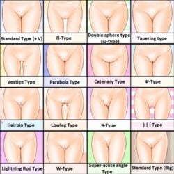 chart crotch hard_translated informative innie_pussy mound_of_venus pussy pussy_chart thigh_gap thighs translated uncensored