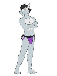 anthro blush bulge canid canine canis clothed clothing detailed_bulge duke_(fuze) fuze genital_outline hi_res jockstrap jockstrap_only looking_away male mammal navel penis_outline pinup pose simple_background solo topless underwear underwear_only white_background wolf