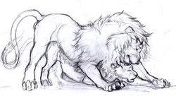 2011 ass_up balls closed_eyes doggy_style feline female feral from_behind lion male on_front penetration seskata sex sketch straight