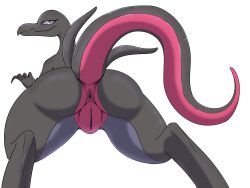 generation 7 pokemon from nintendo by imposter dude