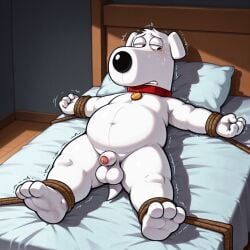 brian griffin from family guy