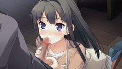 ayase_sayuki black_hair blush censored game_cg kantoku long_hair penis your_diary