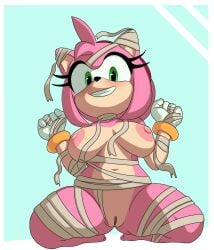 amy rose from sonic (series) by necronnus