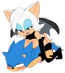 rouge the bat from sonic (series) by muttgirl