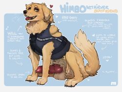 absurd_res animal_genitalia animal_penis balls bedroom_eyes bird_dog bottomless breath canid canine canine_genitalia canine_penis canis clothed clothed_feral clothing description domestic_dog english_text erection feral fluffy fur genitals golden_retriever heart_symbol hi_res hunting_dog knot looking_at_viewer male mammal model_sheet narrowed_eyes open_mouth panting penis red_penis retriever seductive service_top simple_background solo syn-6 text tongue tongue_out topwear topwear_only vest vest_only yellow_body yellow_eyes yellow_fur