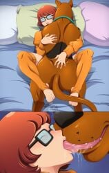 absurdres black-framed_eyewear canine commission female glasses great_dane highres hug kissing lady_fantasma long_sleeves lying on_back orange_sweater orange_thighhighs red_hair scooby-doo scooby-doo_(character) short_hair stirrup_legwear sweater thighhighs toeless_legwear velma_dinkley zoophilia