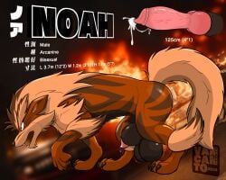 5:4 animal_genitalia animal_penis arcanine balls blurred_background bodily_fluids canid canine_genitalia canine_penis english_text feral feral_only fire generation_1_pokemon genital_fluids genitals hi_res japanese_text male male_only mammal model_sheet nintendo noah_the_arcanine open_mouth penis pokemon pokemon_(species) precum sheath solo striped_body stripes text vancanto