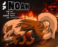 5:4 animal_genitalia arcanine balls blurred_background bodily_fluids canid english_text feral fire generation_1_pokemon genital_fluids genitals hi_res japanese_text male mammal model_sheet nintendo noah_the_arcanine open_mouth pokemon pokemon_(species) precum sheath striped_body stripes text vancanto