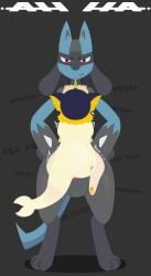 absurd_res ambiguous_gender animal_genitalia animal_penis annoyed anthro black_background black_body black_fur blue_body blue_fur bottomless canid canine canine_genitalia canine_penis clothed clothing duo eeveelution feral fur generation_1_pokemon generation_4_pokemon genitals hailey_png hi_res lucario male male/ambiguous mammal markings nintendo nude pawpads paws penis pokemon pokemon_(species) red_eyes sex simple_background sock_(hailey_png) spikes spikes_(anatomy) standing standing_sex tan_body tan_fur vaporeon