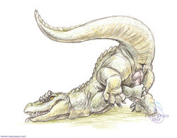 2011 after_sex anus ass_up crocodile cum cum_in_ass cum_inside curiodraco feral knot male male_only masturbation on_front pencils penis raised_tail reptile scalie solo tail