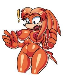 ! anthro archie_comics areolae big_breasts breasts cleft_of_venus echidna edited_art eyelashes female furry mari-an mobian mobian_(species) mobian_echidna nipples nude_female oerba_yun_fang open_mouth pussy sega sonic_(series) sonic_the_hedgehog_(archie) sonic_the_hedgehog_(comics) sonic_the_hedgehog_(series) sweat tail third-party_edit voideyedpanda white_background