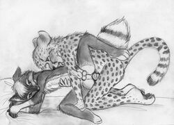 2011 all_fours anal anal_sex anthro balls bed canine cheetah cum cum_in_ass cum_inside fox from_behind fur furry furry_only gay greyscale knot male monochrome nude pencils penetration penis sex sketch spera