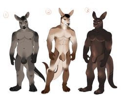 2014 3boys abs anthro ass boilerroo brown_fur flaccid fur furry grey_fur humanoid_penis kangaroo looking_at_viewer male male_only mammal marsupial multiple_males muscles nipples nude pecs penis standing tan_fur testicles uncut white_fur