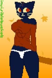 anthro breasts feline female invisiblebucket mae_(nitw) night_in_the_woods panties pixel_art solo