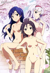 3girls blue_hair breasts brown_hair cherry_blossoms female female_only hairband hand_on_hip high_resolution hips human idolmaster innie_pussy kisaragi_chihaya legs long_hair makoto_kikuchi megami multiple_females multiple_girls nipples nude nude_filter petals photoshop puffy_pussy pussy shijou_takane short_hair silver_hair smile uncensored very_long_hair zenra