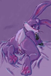 2011 anus balls fellatio female fingering lagomorph looking_back masturbation nude on_front oral oral_sex penis purple pussy pussy_juice rabbit sean_blackthorne sex