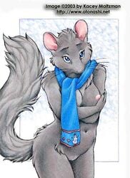 2003 anthro blue_eyes breasts dormouse female female_only front_view fur furry_breasts furry_ears furry_tail grey_fur kacey mammal navel nipples nude open_eyes pussy raised_tail rodent round_ears scarf shy solo standing tail whiskers