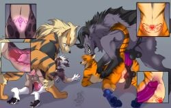 anthro anthro_on_feral anthro_penetrated arcanine avrus behemoth_(final_fantasy) blue_body blue_fur feral feral_penetrating feral_penetrating_anthro final_fantasy from_behind_position fur genitals group holding_down hybrid internal interspecies knot male male/male mounting nintendo omez orange_body orange_fur penetration penis pokémon_(species) pokemon pokemon_(species) pokephilia pubic_tattoo purple_penis sergal sex square_enix stomach_bulge zoophilia