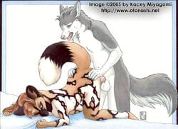 1boy 1girls 2005 african_wild_dog ass ass_grab canine doggy_style female from_behind furry kacey looking_back low_res male nude open_mouth penis sex straight sweat tail testicles text url wolf