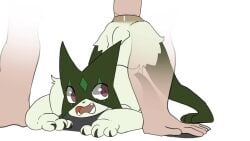 anal anal_sex animated anthro bodily_fluids cervikalova cum cum_from_ass disembodied_hands disembodied_penis doggy_style duo eyes_rolling_back feline female from_behind_position game_freak generation_9_pokemon human human_on_anthro interspecies jack-o_pose looking_pleasured male male/female mammal meowscarada nintendo no_sound open_mouth penetration penis pokemon pokemon_(species) pokephilia pussy sex short_playtime tagme text video