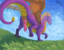 absurd_res activision animal_genitalia anus ass claws dragon erection european_mythology feral genital_slit genitals grass_field hi_res horn jupizoro knot looking_at_viewer looking_back male male_feral membrane_(anatomy) membranous_wings mythological_creature mythological_scalie mythology non-canine_knot nude orange_wings penis presenting presenting_anus presenting_hindquarters presenting_penis purple_body quadruped raised_tail scaled_dragon scales scalie sky smile solo spyro spyro_the_dragon tail tail_anus toe_claws ventral_scales western_dragon wings yellow_body
