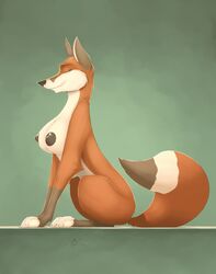 big_breasts breasts canine closed_eyes female feral fox sitting solo spotty_the_cheetah