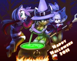 2011 amy_rose anthro bat blaze_the_cat cat cauldron clothes color elbow_gloves feline female female_only fur furry furry_only gloves halloween hedgehog interspecies latex latex_gloves mammal multiple_females rouge_the_bat sonic_(series) standing stirring witch_hat