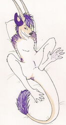 anthro arrowtibbs aurali dragon female hindpaw horn looking_at_viewer lying mouse nude paws pillow plain_background presenting pussy raigonetta rodent solo spreading white_background