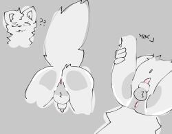 absurd_res animal_genitalia anthro canid canine domestic_cat felid feline felis fox genitals hi_res humanoid hybrid male mammal presenting solo thebadcopivx