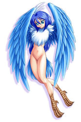 bird_feet blue_eyes blue_hair blue_wings covering harpy monster_girl nude smile wings