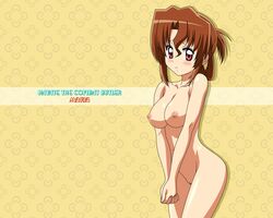 blush breasts brown_hair erect_nipples female hayate_no_gotoku! legs maria_(hayate_no_gotoku!) nipples nude nude_filter pussy solo thighs uncensored wallpaper