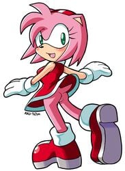 amy_rose anus ass beige_skin blush color female female_only fur furry furry_ass furry_only hedgehog looking_back pink_fur pussy sega skin skirt_lift small_ass smooth_skin solo sonic_(series) sonic_the_hedgehog_(series) tojyo upskirt vulva